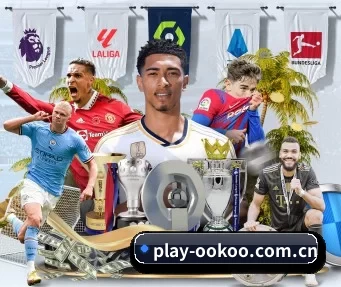 play-ookoo.com.cn APP